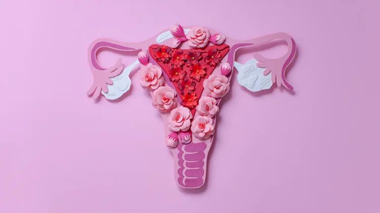 Genital Estetik Fethiye